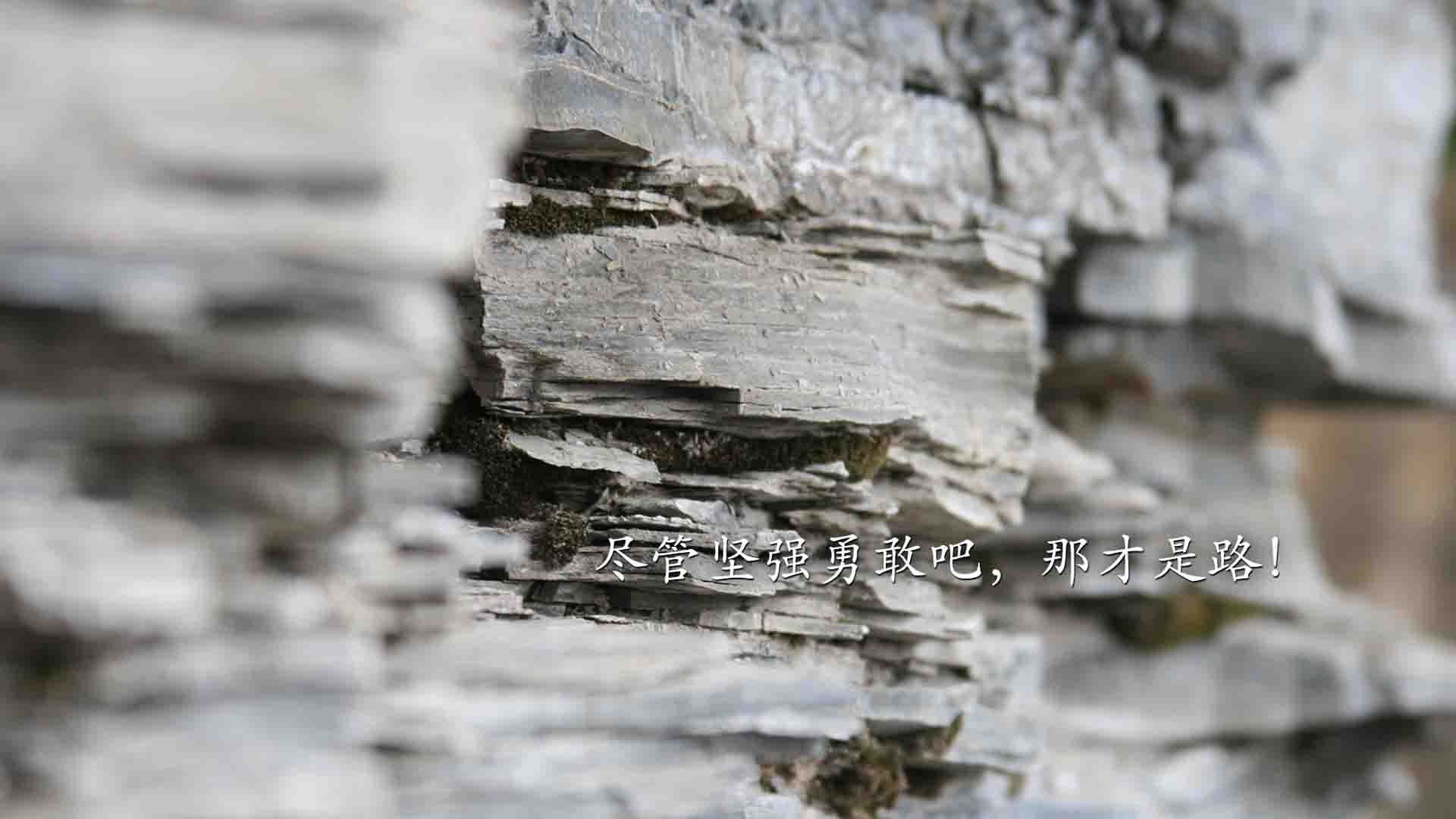 开云·体育全站登录地址-中超球队球队实力对比，中超各个球队的缺点  第3张